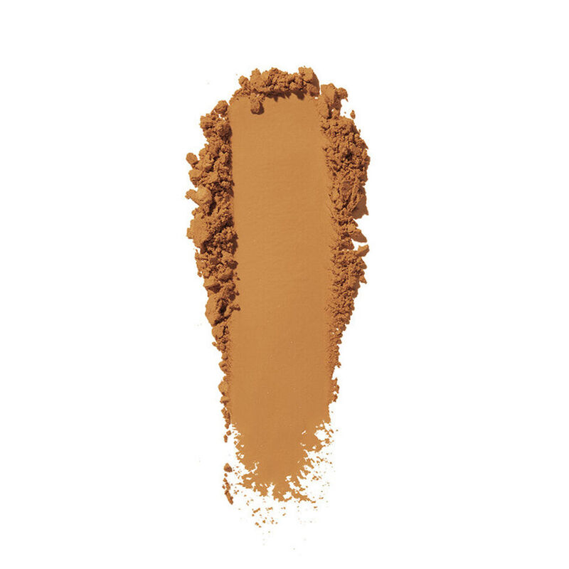 Shiseido Synchro Skin Self-Refreshing Custom Finish Powder Foundation image number 11